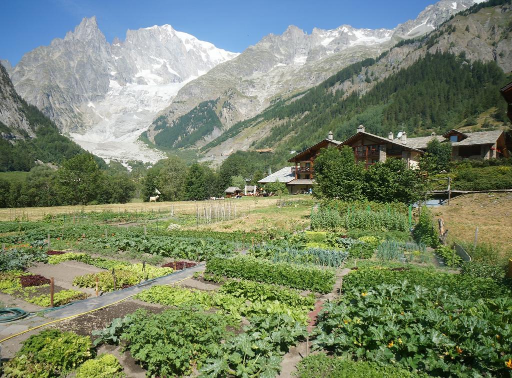 Hotel Aiguille Noire Courmayeur Dış mekan fotoğraf